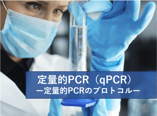 定量的PCR （qPCR） 2/2　定量的PCRのプロトコル | リケラボ
