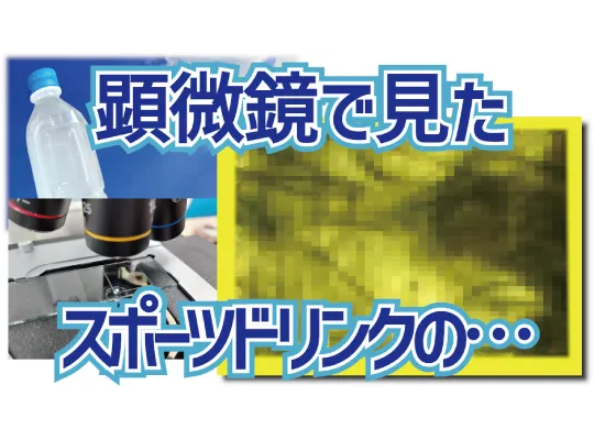 顕微鏡で食べ物を観察！ー飲み物編ー酵母ほか、知られざる世界がそこに