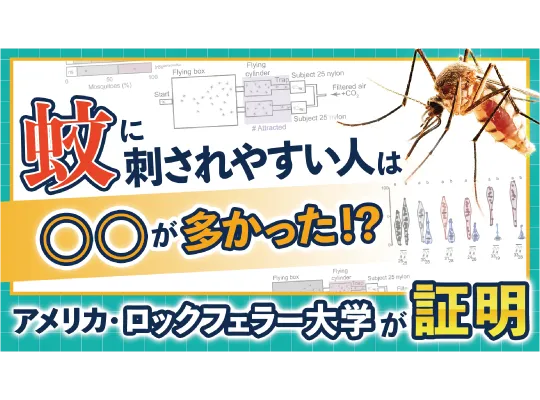 夏の強敵、蚊に刺されやすい人の共通点とは?【動画で論文紹介】