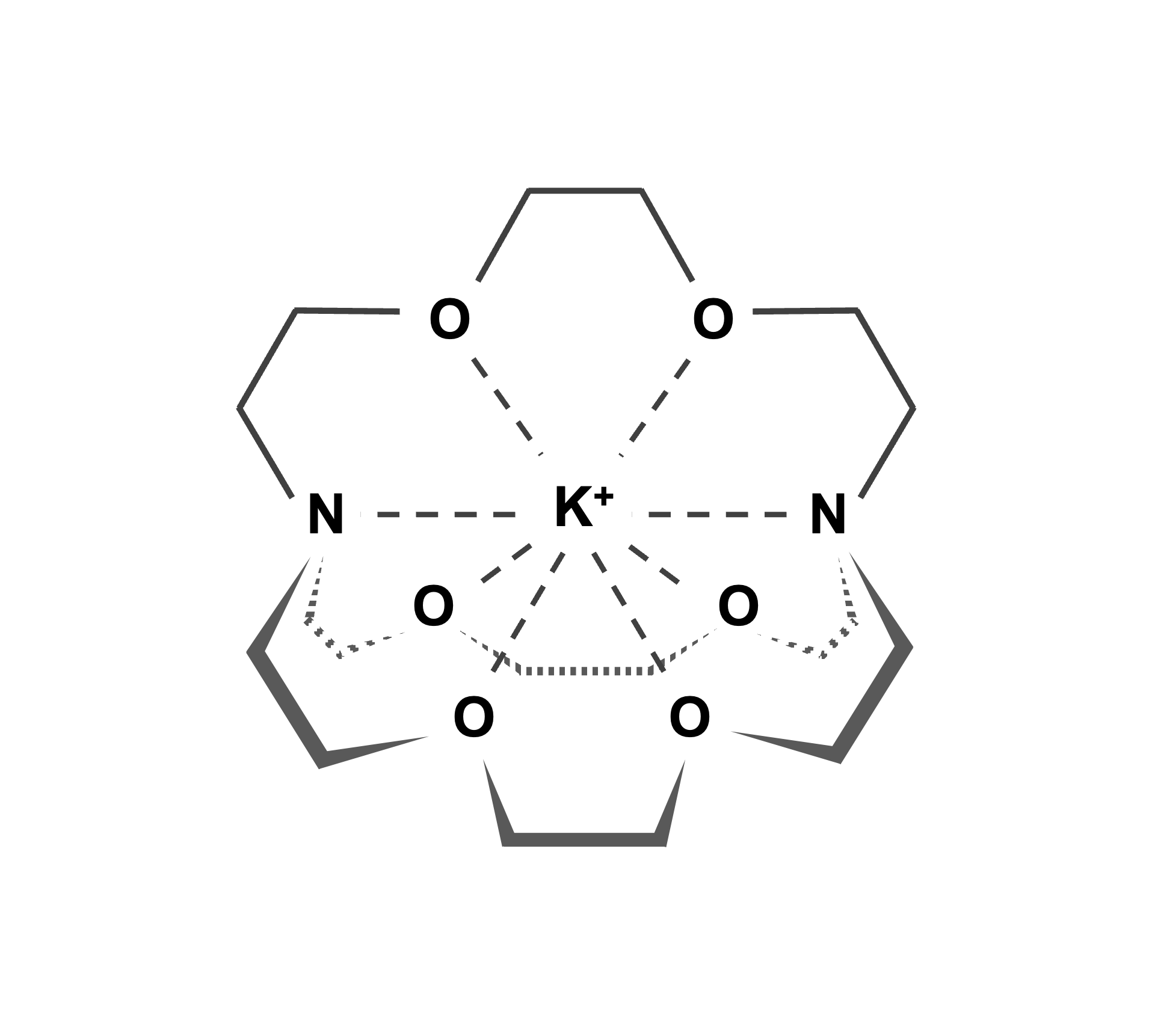 分子間力図2