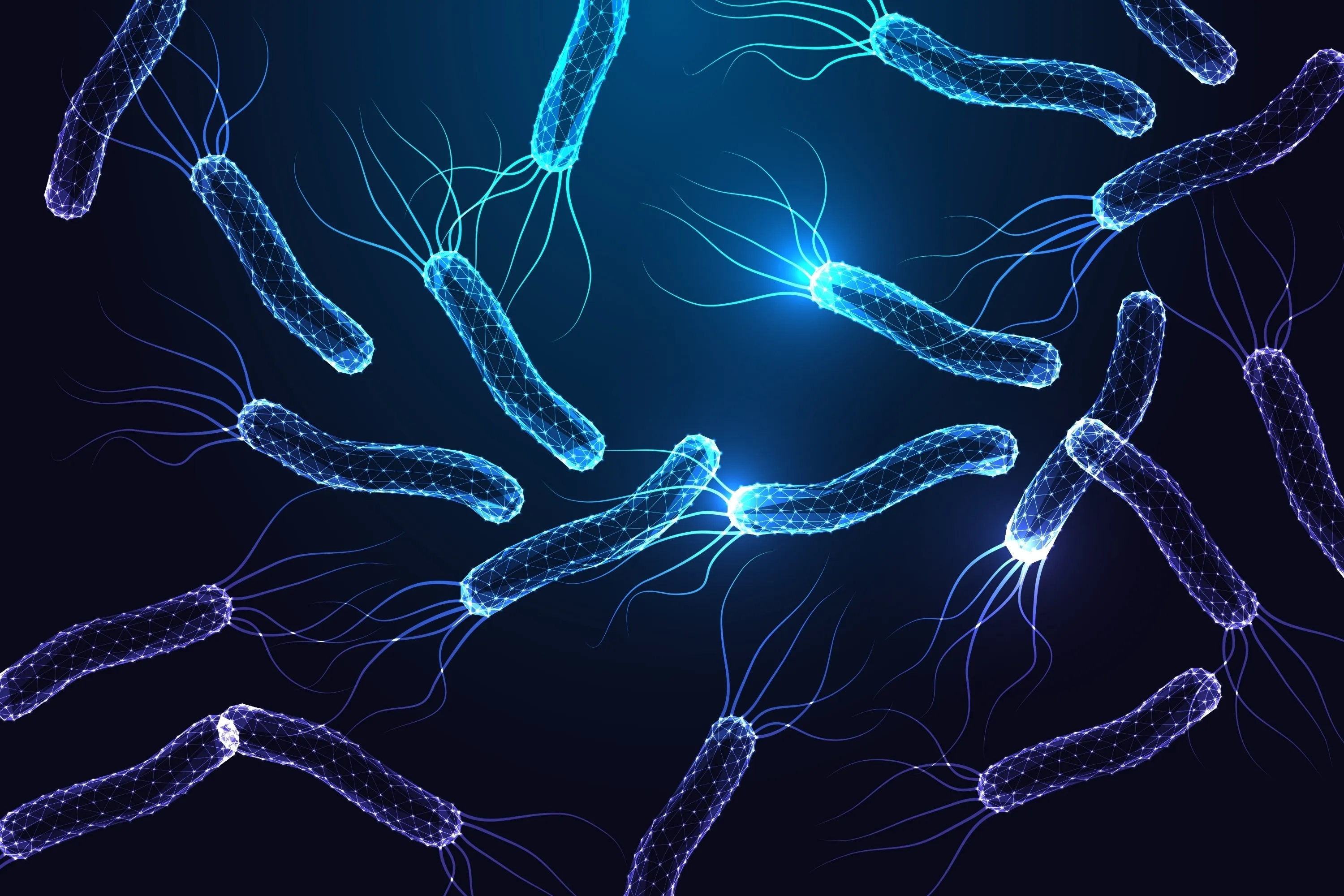 ヘリコバクター・ピロリとは