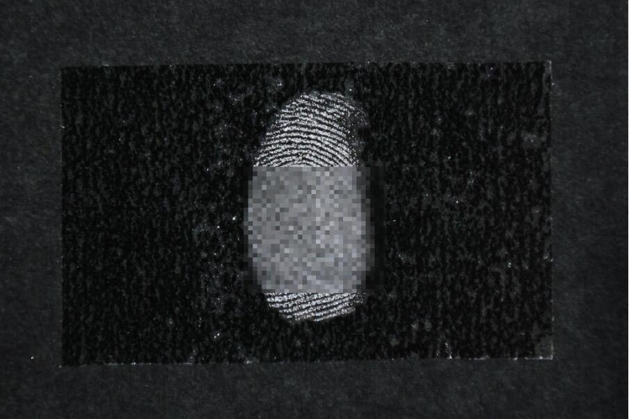 指紋の標本.jpg
