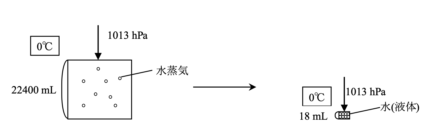 C2