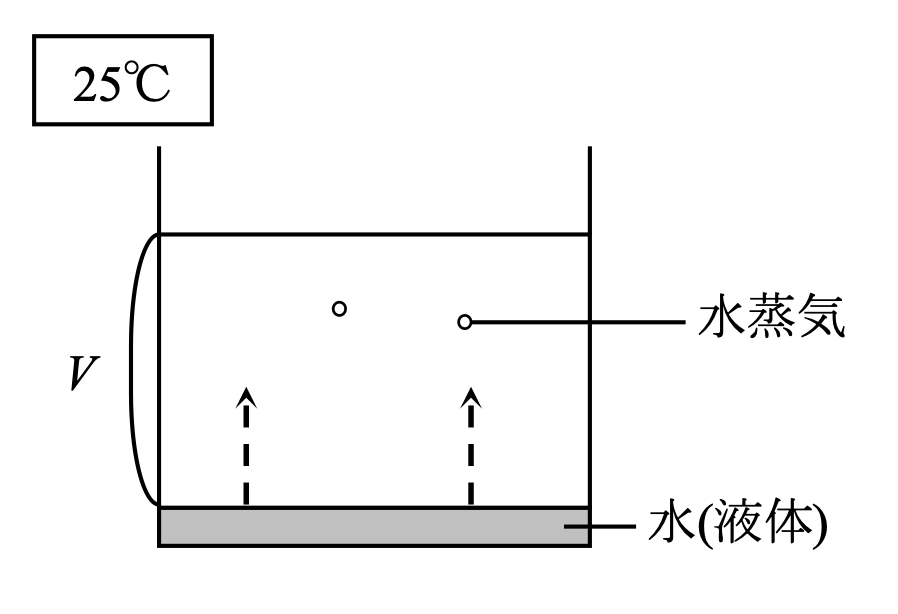 C2