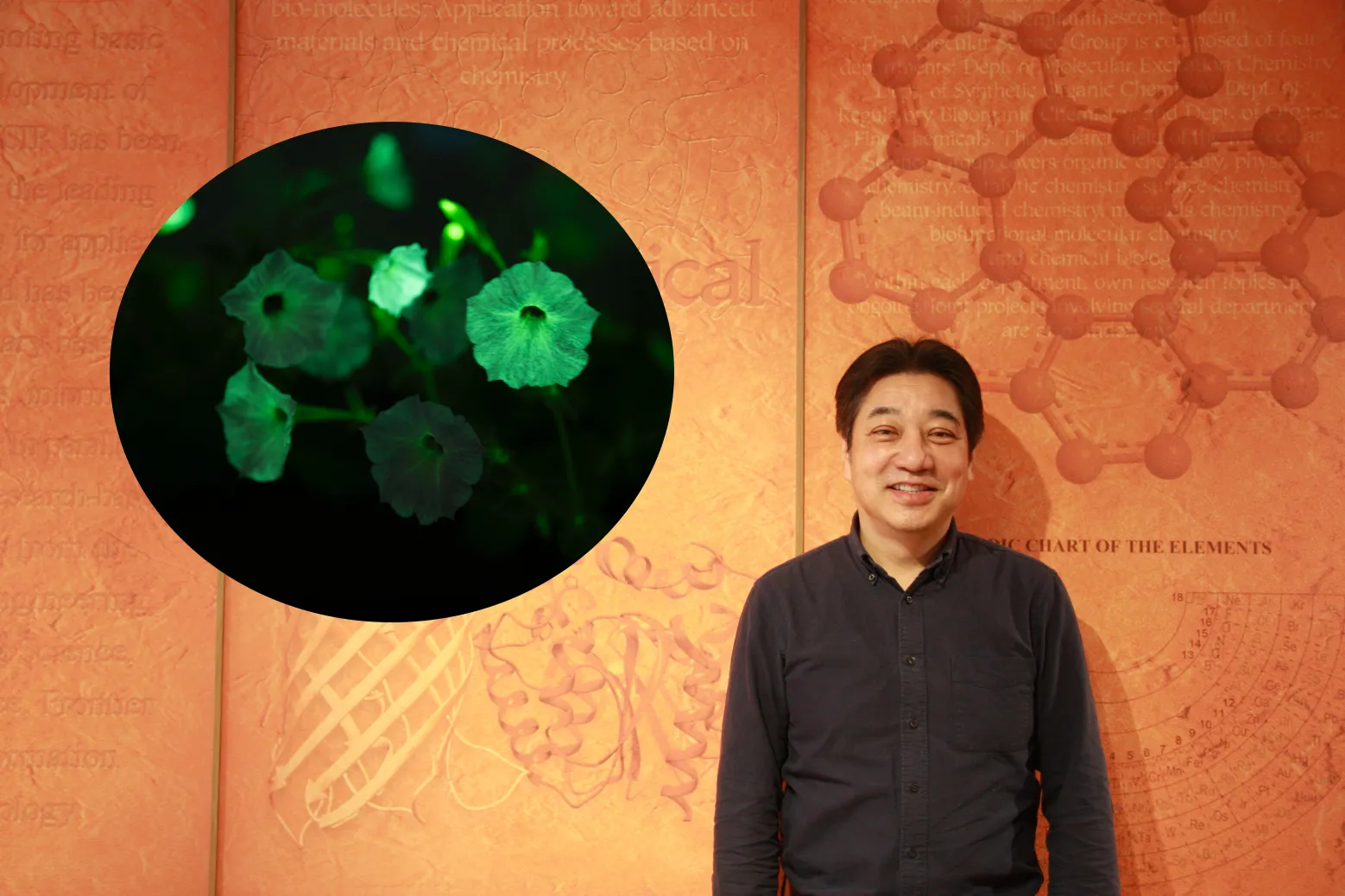 発光の技術で可視化される生命のダイナミズム。「光る植物」が、街の風景と社会を変える!