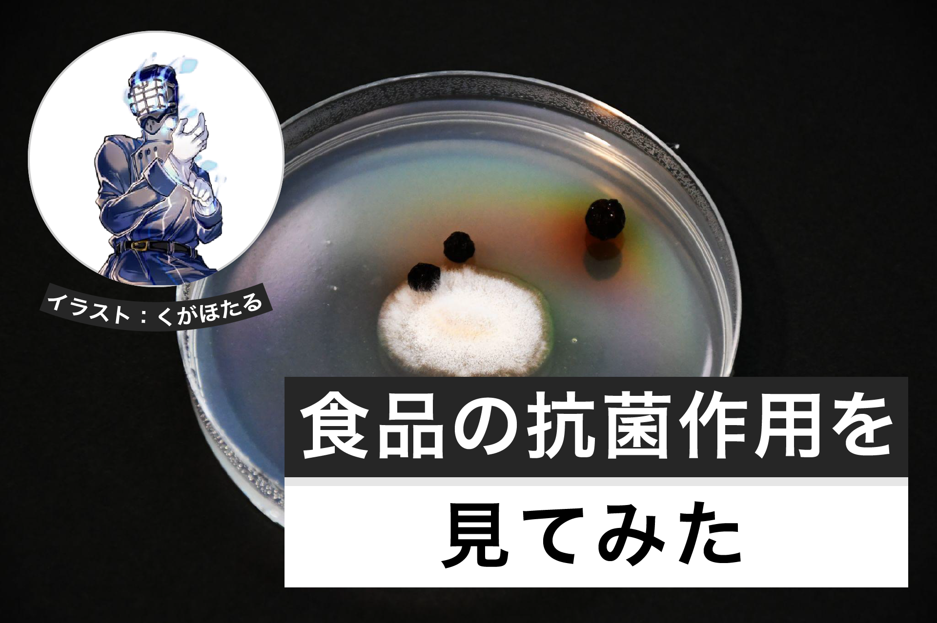 食品の抗菌作用を見てみよう│ヘルドクターくられの1万円実験室
