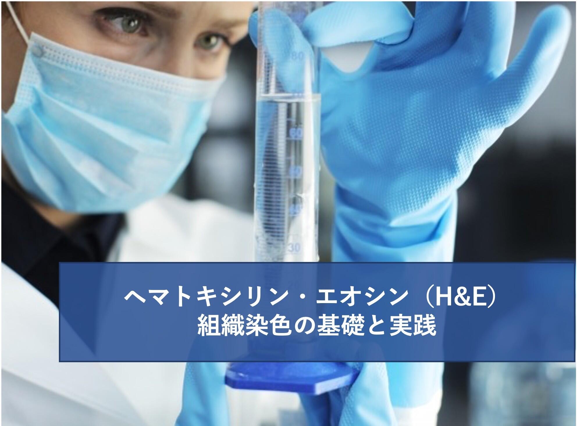 ヘマトキシリン・エオシン（H&E）組織染色の基礎と実践