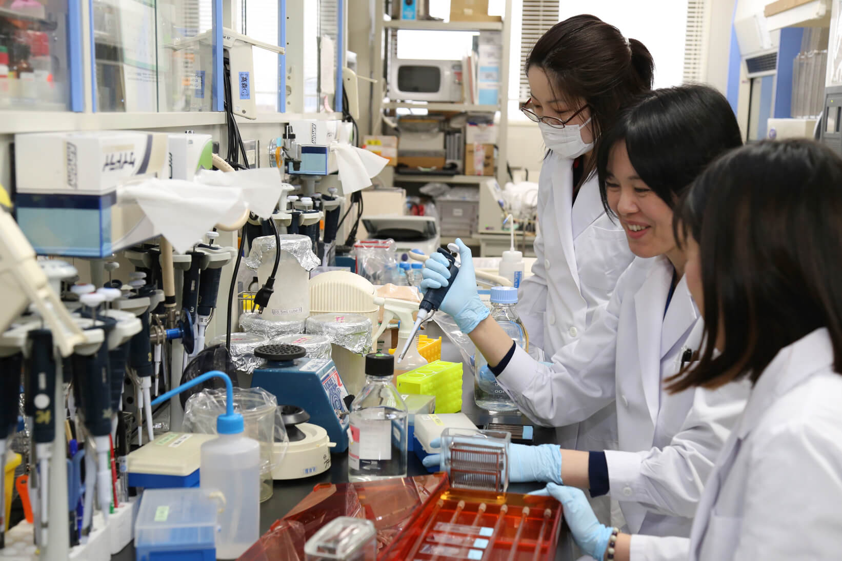 日本初かゆみに特化した研究所で「かゆみ」の解明に挑む~栄養学から皮膚科学の研究者へ~ | リケラボ