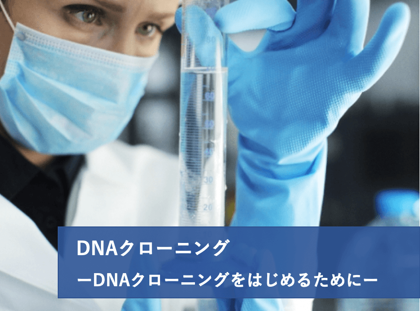 実験レシピ DNAクローニング(1/4)DNAクローニングをはじめるために | リケラボ