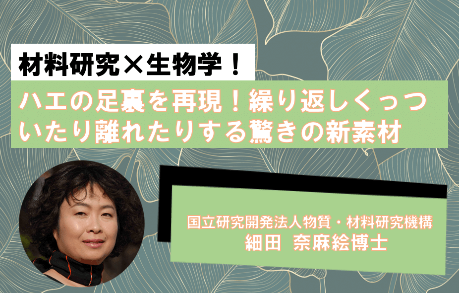 材料研究×生物学!ハエの足裏を再現。繰り返しくっついたり離れたりする驚きの新素材 NIMS・細田奈麻絵博士 | リケラボ