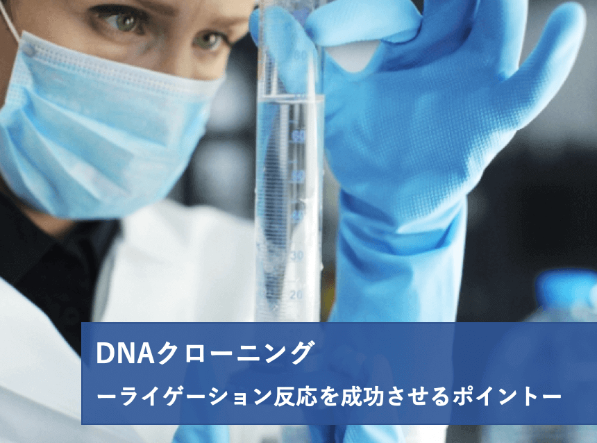 実験レシピ DNAクローニング(3/4)ライゲーション反応を成功させるポイント | リケラボ