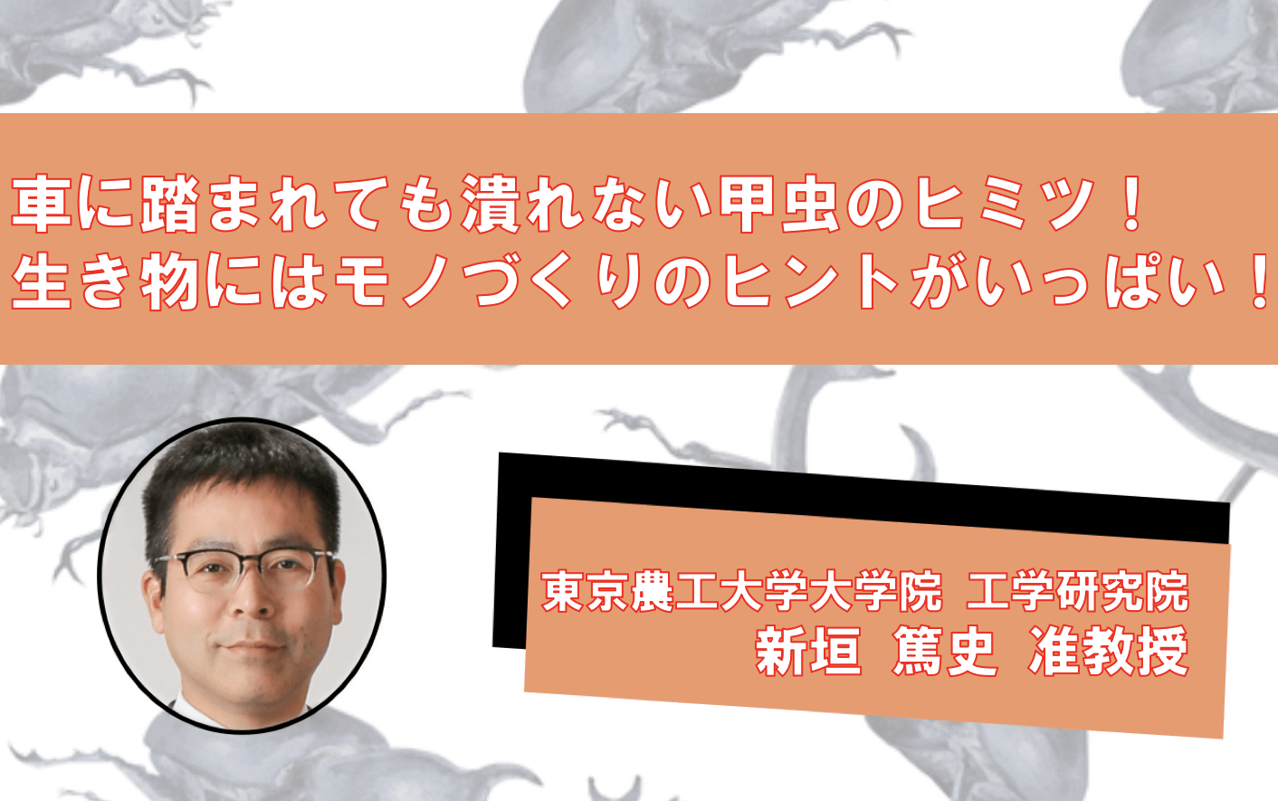 車に踏まれても潰れない虫のヒミツ。生き物にはモノづくりのヒントがいっぱい! | リケラボ