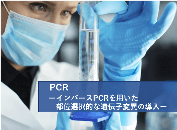 実験ノウハウ:インバースPCRを用いた部位選択的な遺伝子変異の導入 | リケラボ