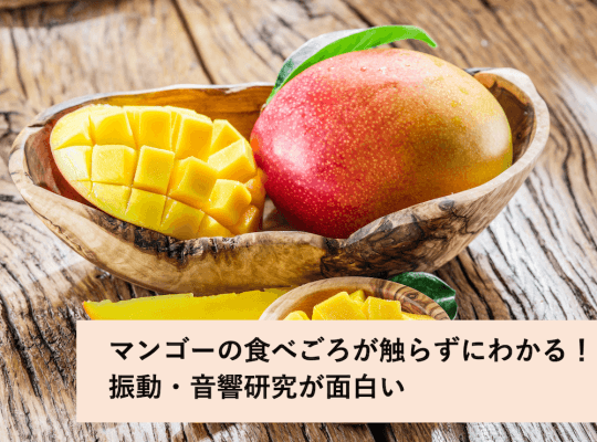 プラズマ衝撃波で果物の収穫時期がわかる!?芝浦工大の細矢直基教授に聞く振動の知られざる世界 | リケラボ