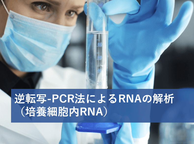 逆転写(RT)-PCR法によるRNAの解析 1/2(培養細胞内RNAのRT-PCR解析)│実験レシピ | リケラボ