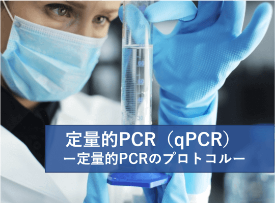 定量的PCR (qPCR) 2/2 定量的PCRのプロトコル | リケラボ