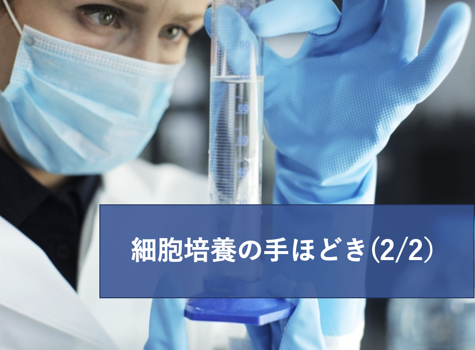 細胞培養の手ほどき2「培養開始から中断(凍結細胞ストック作製)までのプロトコル | リケラボ