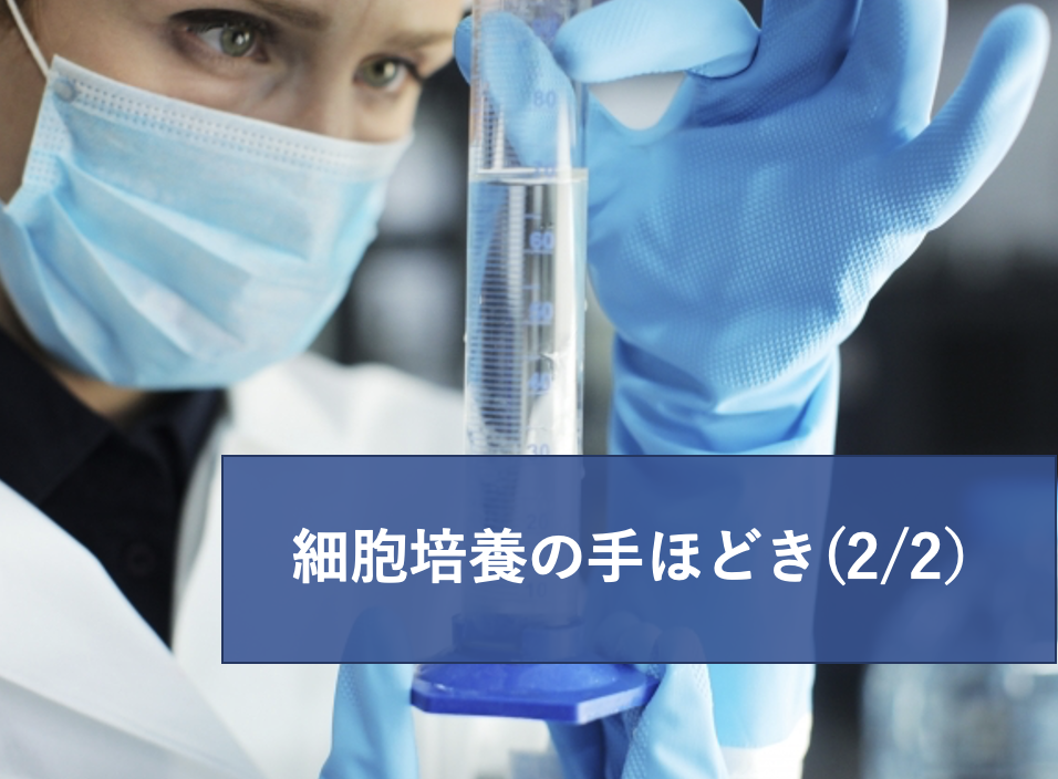 細胞培養の手ほどき2「培養開始から中断（凍結細胞ストック作製）までのプロトコル | リケラボ