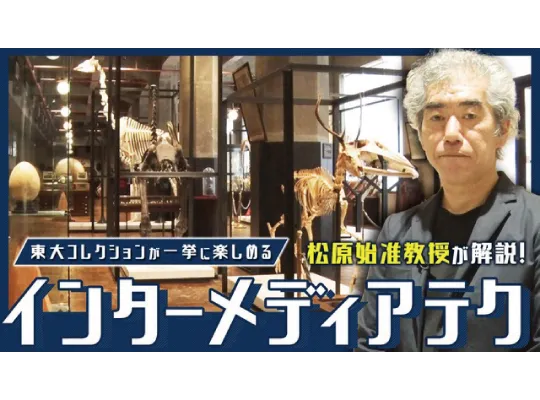 【博物館訪問動画】芸術と科学が融合するインターメディアテク(東京駅直結)に潜入!