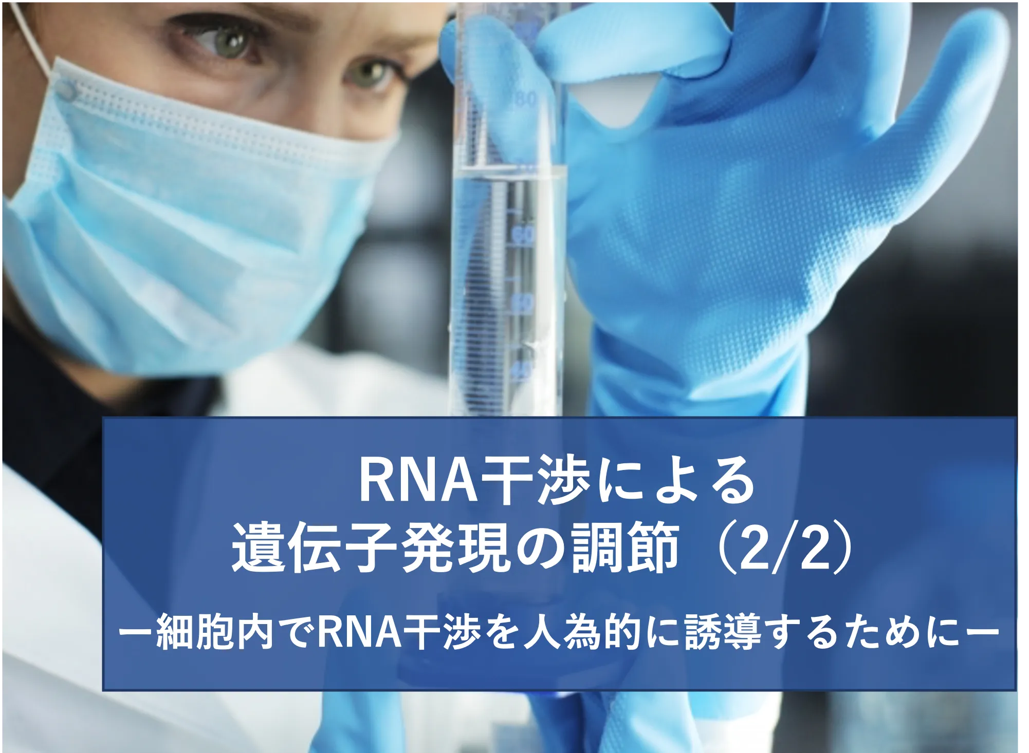 細胞内でRNA干渉を人為的に誘導するために RNA干渉による遺伝子発現の調節(2/2) | リケラボ