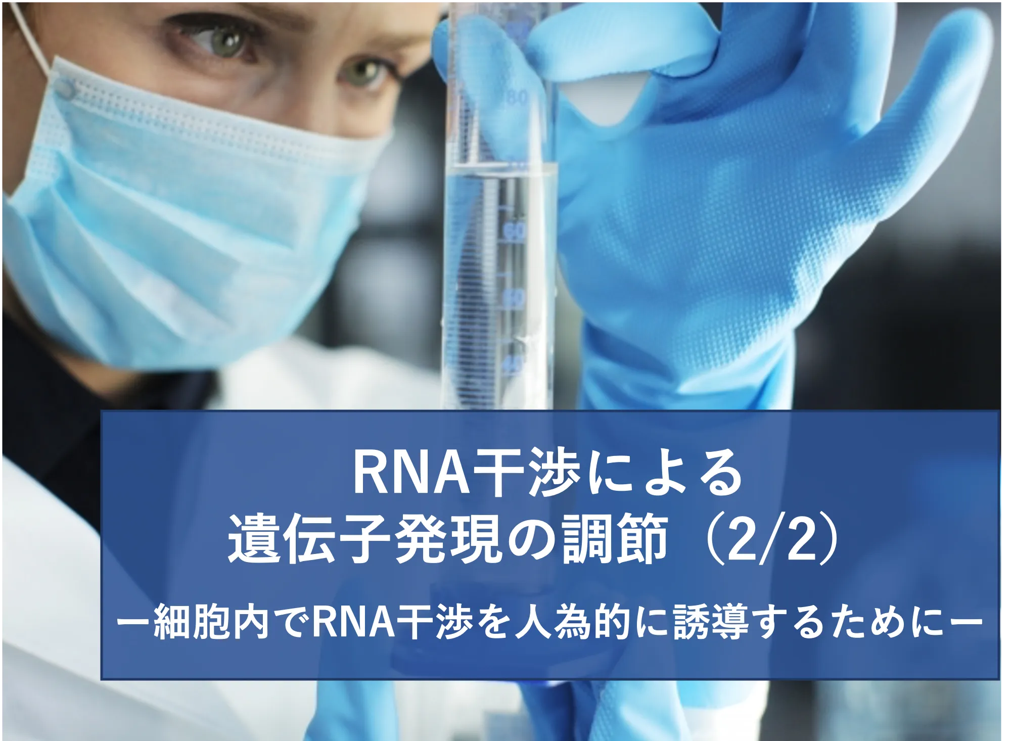 細胞内でRNA干渉を人為的に誘導するために　RNA干渉による遺伝子発現の調節（2/2） | リケラボ