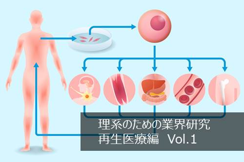 再生医療の基礎知識 -理系のための業界研究 再生医療編Vol.1- | リケラボ