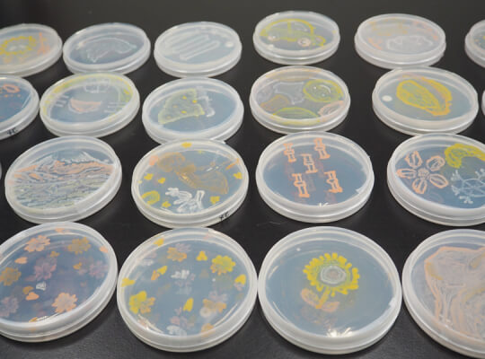 バクテリアでお絵描き！ 山梨大学 田中靖浩先生に「微生物アート」のコツを教わってきた！ | リケラボ