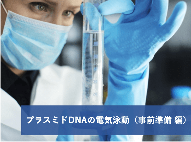 実験レシピ プラスミドDNAの電気泳動1/3 (事前準備 編) | リケラボ