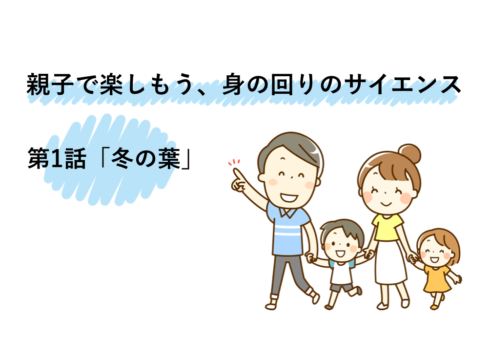 なぜ落葉樹の葉っぱは冬になると枯れ落ちる？ ?親子で楽しもう、身の回りのサイエンス 第1話? | リケラボ